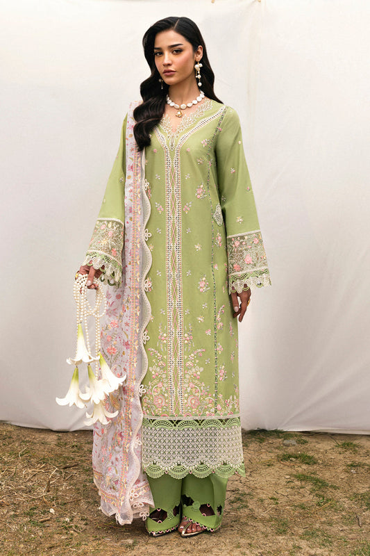 DC-01 Lovisa Qalamkar Stitched & Unstitched