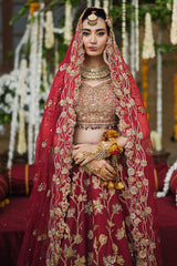 Qurat Ul Ain – Ansab Jahangir Barat