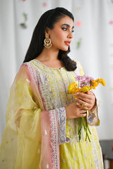 Halime – Ansab Jahangir Formals
