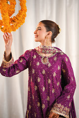 Abeer – Ansab Jahangir Formals