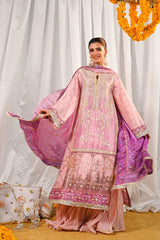 Momina – Ansab Jahangir Formals