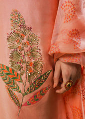 Blush - Hussain Rehar Luxury Pret