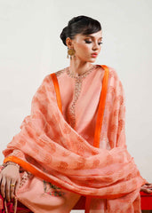 Blush - Hussain Rehar Luxury Pret