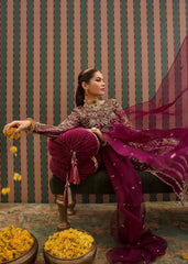 Anari - kanwal Malik Luxury Pret