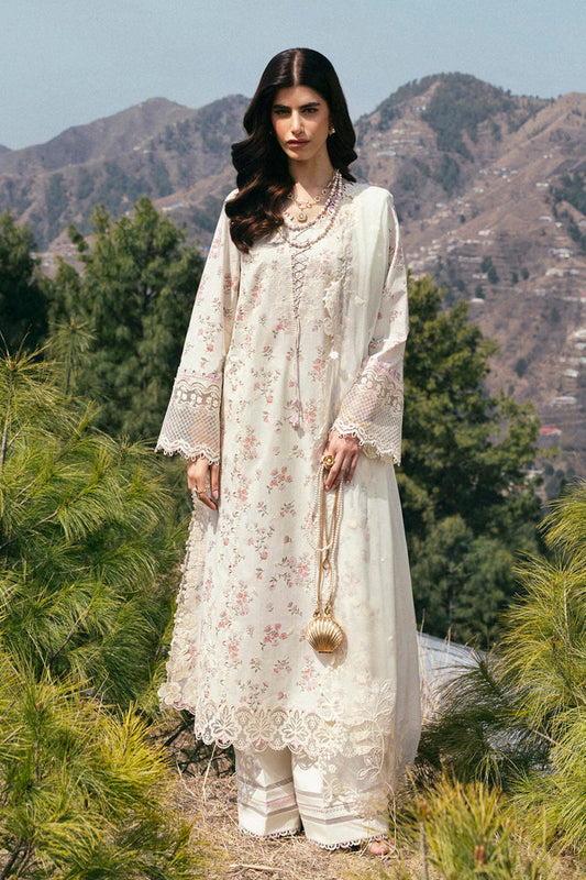 DC-13 Miri Qalamkar Stitched & Unstitched