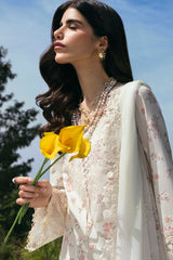 DC-13 Miri Qalamkar Stitched & Unstitched