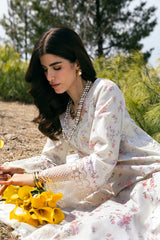 DC-13 Miri Qalamkar Stitched & Unstitched