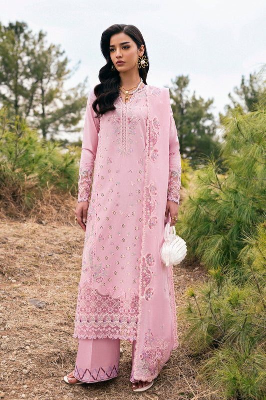 DC-02 Freja Qalamkar Stitched & Unstitched