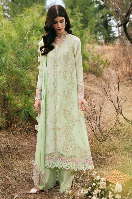 DC-14 Meline Qalamkar luxerypret