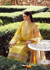 Raiha - Kanwal Malik Unstich