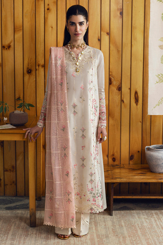 DC-07 Tyrah Qalamkar Stitched & Unstitched