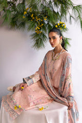 DC-11 Hedi Qalamkar Stitched & Unstitched