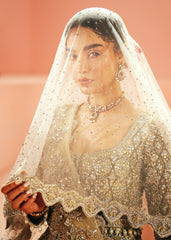 Koh i Noor  - Mahgul Reception