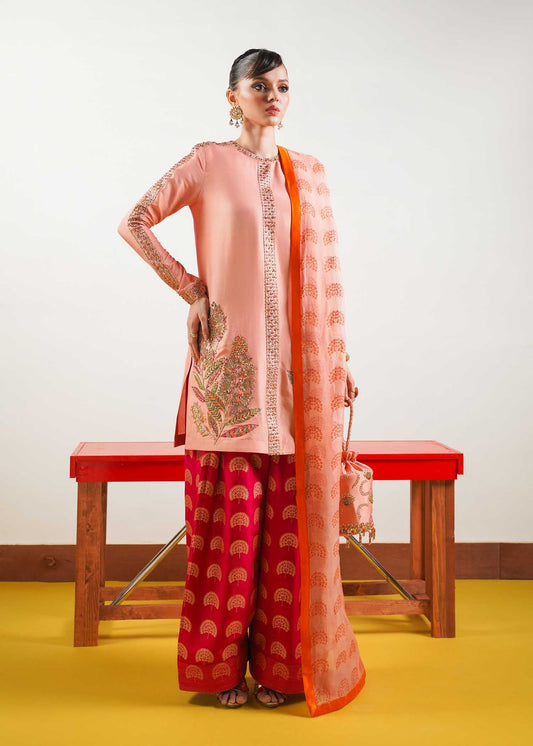 Blush - Hussain Rehar Luxury Pret
