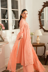 SB-12 Jafa Qalamkar Unstitched